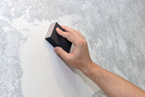 Best Mold Documentation for Insurance Claims  in Duncan Falls, OH