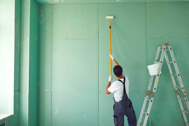 Best Black Mold Removal  in Duncan Falls, OH