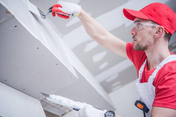 Best Comprehensive Air Testing for Mold Contaminants  in Duncan Falls, OH